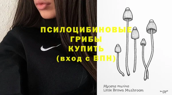 гидропоника Магас