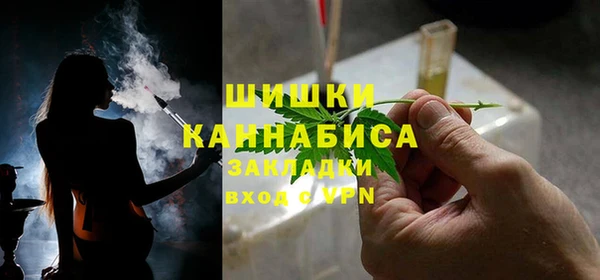 сатива Медногорск