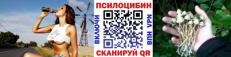 Псилоцибиновые грибы прущие грибы  Чайковский 