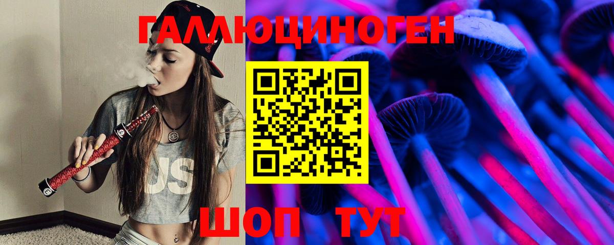 Галлюциногенные грибы Psilocybine cubensis Чайковский