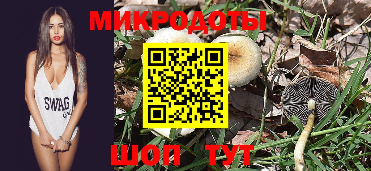 Галлюциногенные грибы MAGIC MUSHROOMS  Вход с VPN  Чайковский 